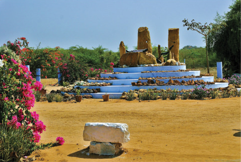 Kutch Fossil Park